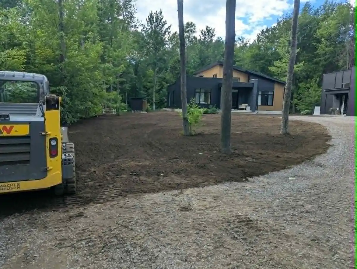 Terrain résidentiel nivelé autour des arbres et de l’entrée